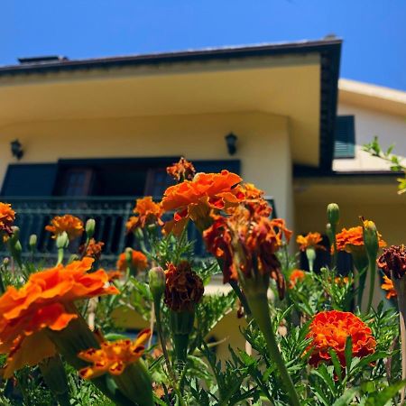 Casa Sao Simao Villa Barcelos Bagian luar foto