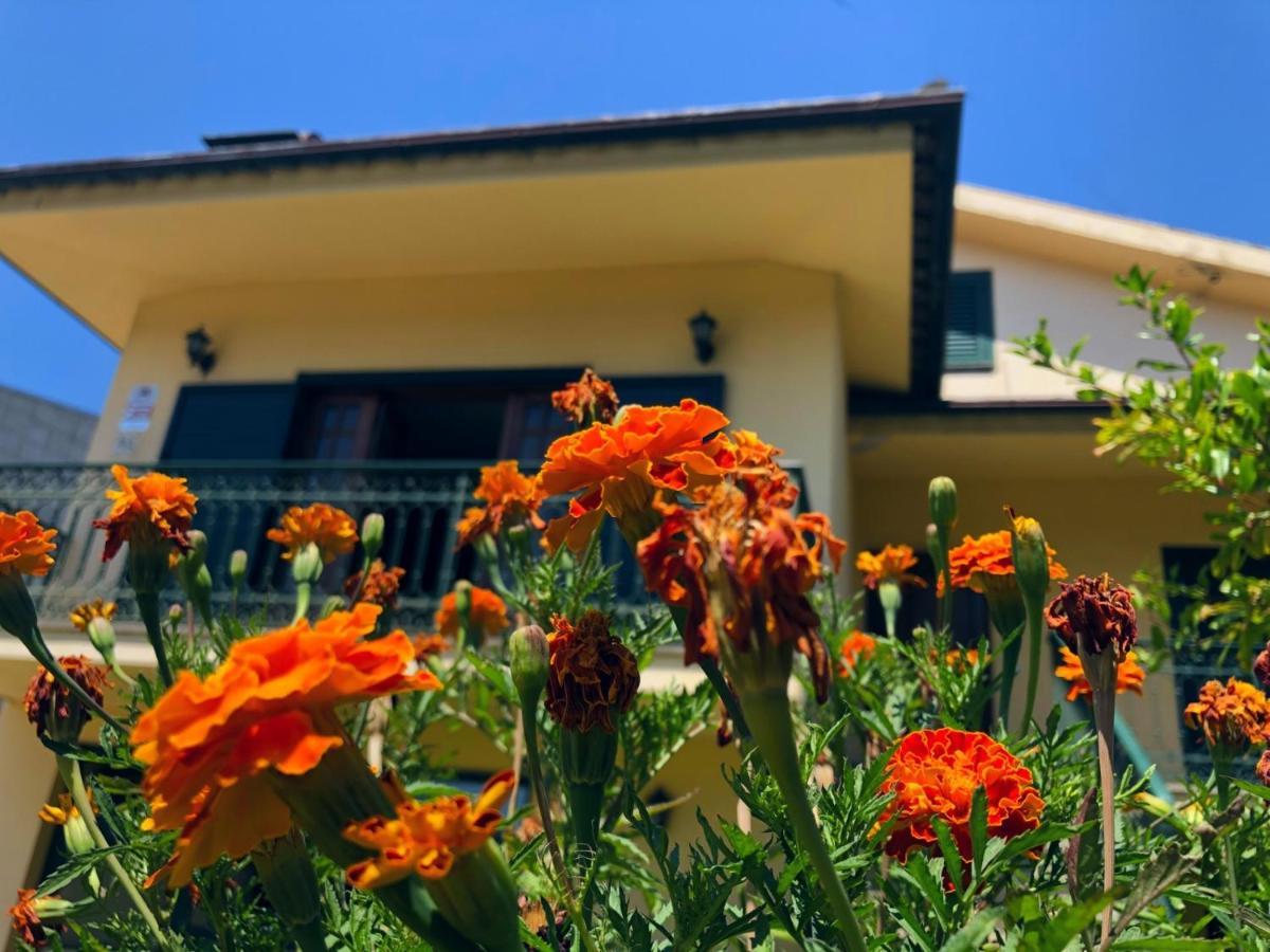Casa Sao Simao Villa Barcelos Bagian luar foto